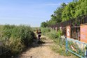 IMG_0501
