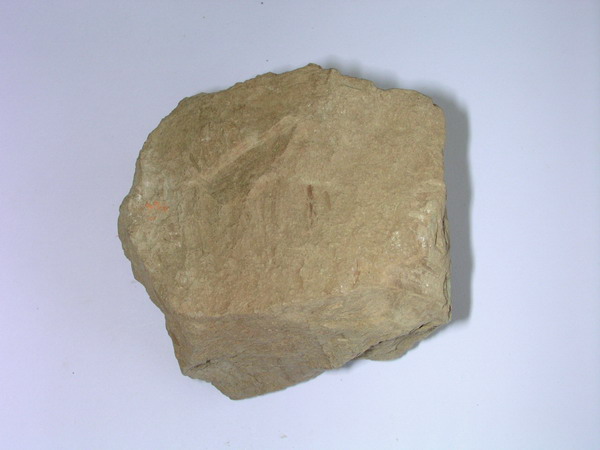 lutita