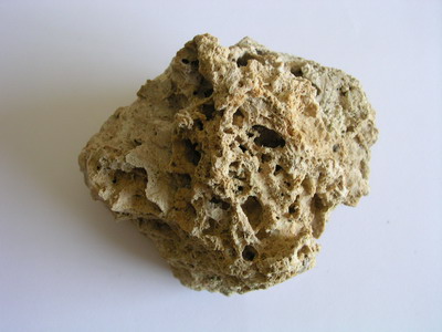 toba1